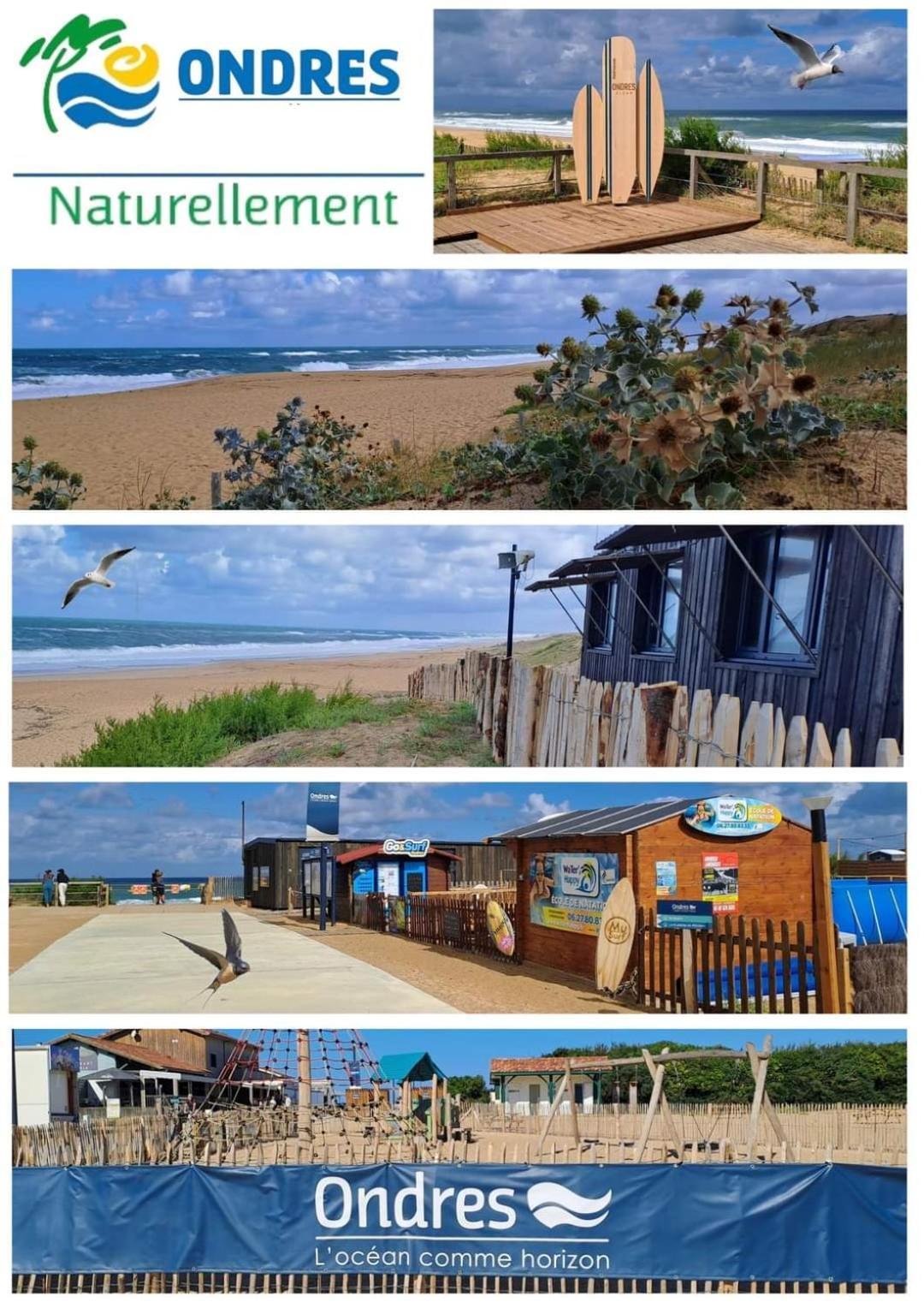T2 Antigua Ondres Plage Avec Piscine Et Tennis Luaran gambar